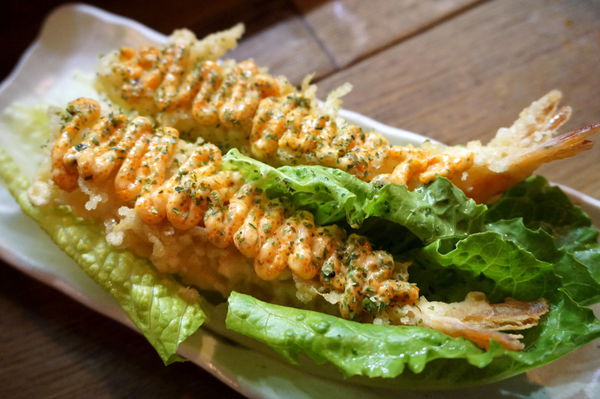 DSC06516.JPG DSC06516.JPG