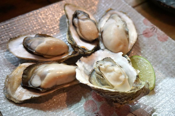 DSC06434.JPG DSC06434.JPG