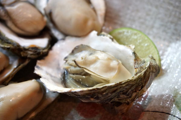 DSC06437.JPG DSC06437.JPG