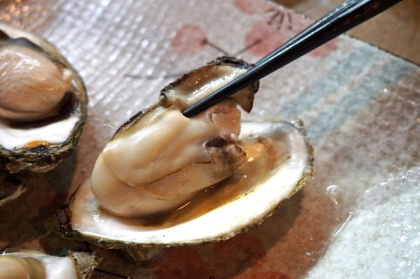 DSC06445.JPG DSC06445.JPG