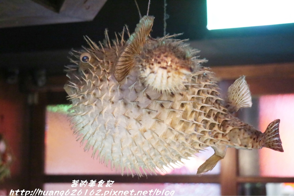 IMG_9659.JPG IMG_9659.JPG