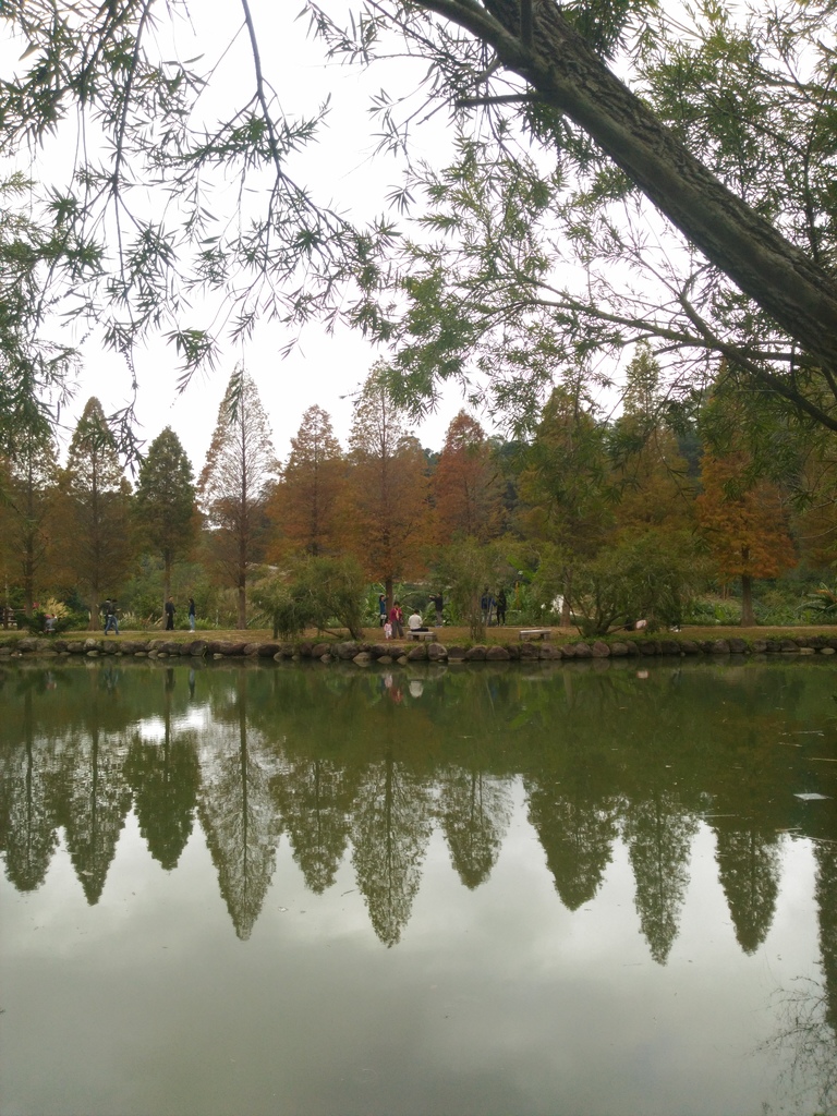 P_20170103_105800.jpg P_20170103_105800.jpg