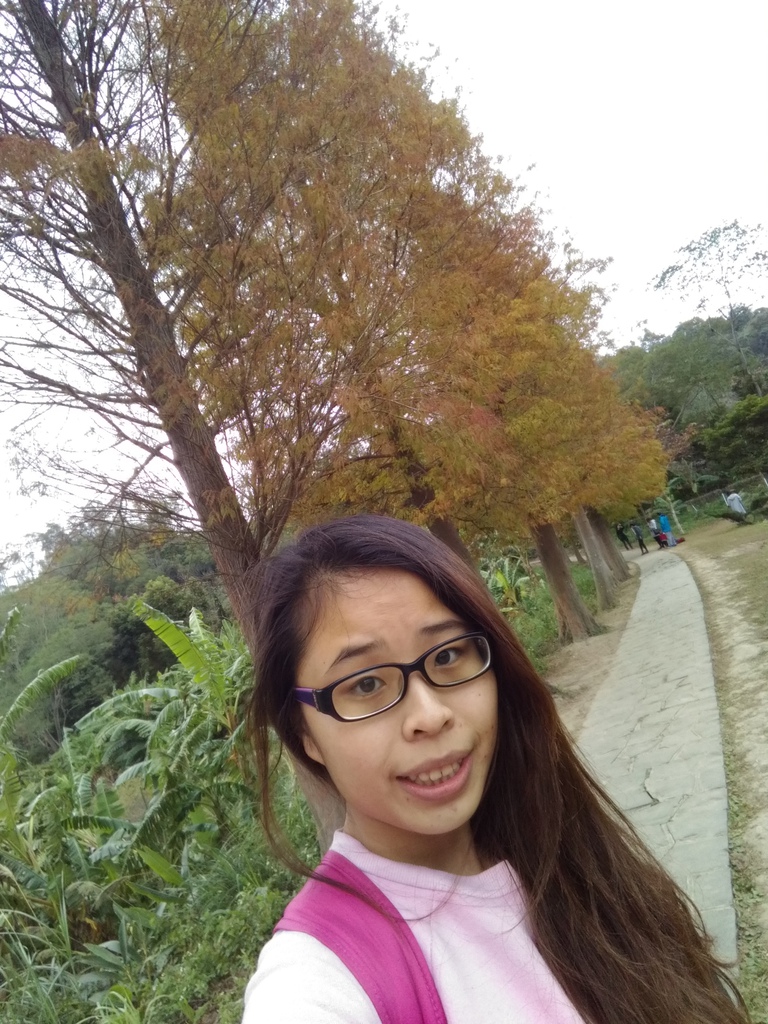 P_20170103_111340.jpg P_20170103_111340.jpg