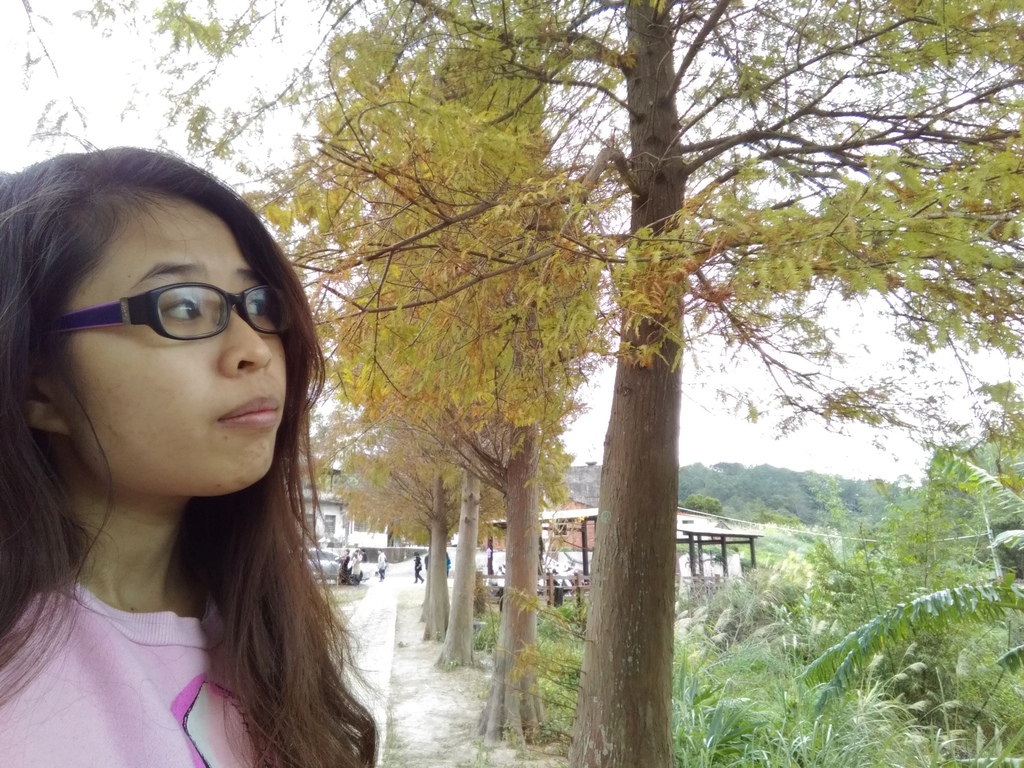 P_20170103_111119.jpg P_20170103_111119.jpg