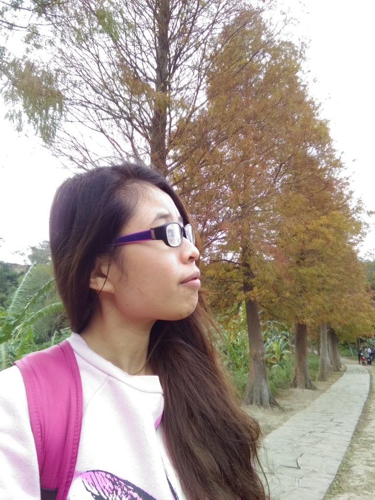 P_20170103_111420.jpg P_20170103_111420.jpg