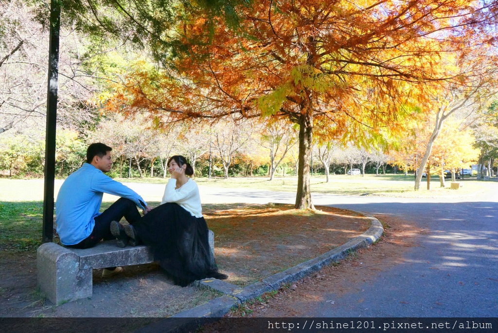 2015南投奧萬大國家森林遊樂園 賞楓 賞落羽松住宿