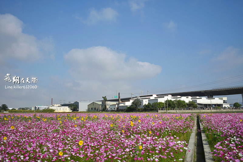 PhotoGrid_1483401375002