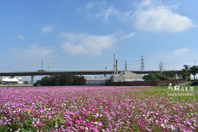 PhotoGrid_1483401415202