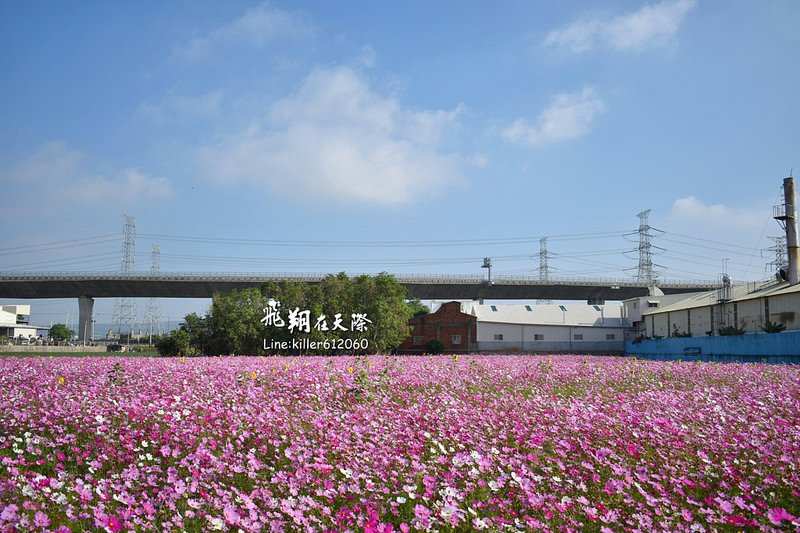 PhotoGrid_1483401495547