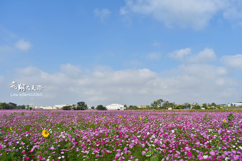 PhotoGrid_1483401522152