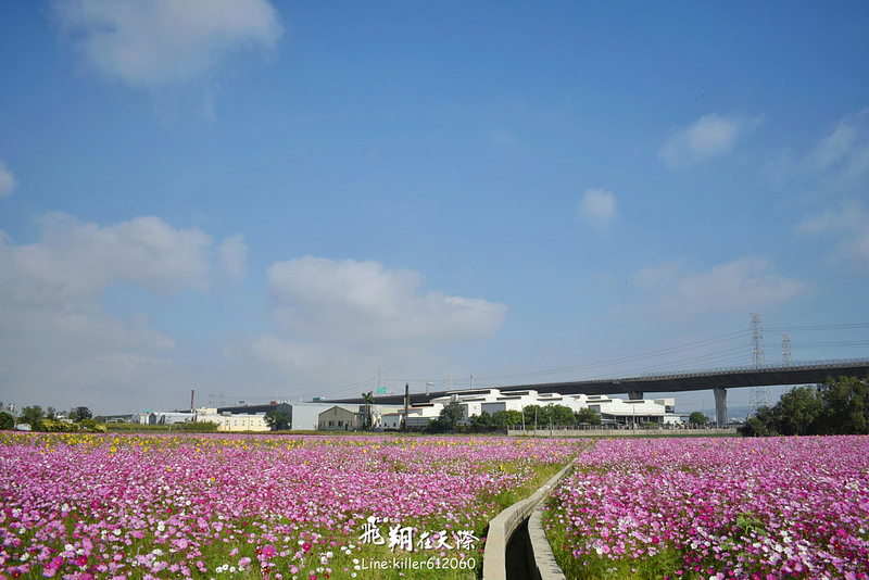 PhotoGrid_1483401307292