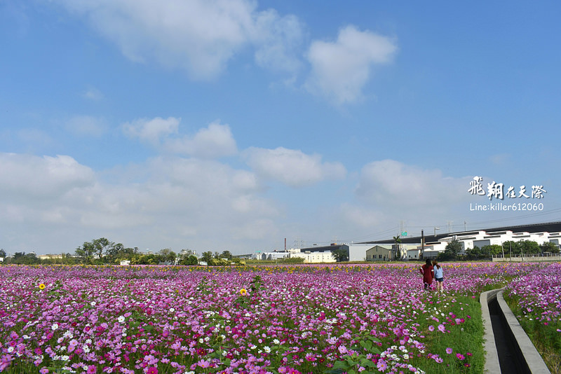 PhotoGrid_1483401394288