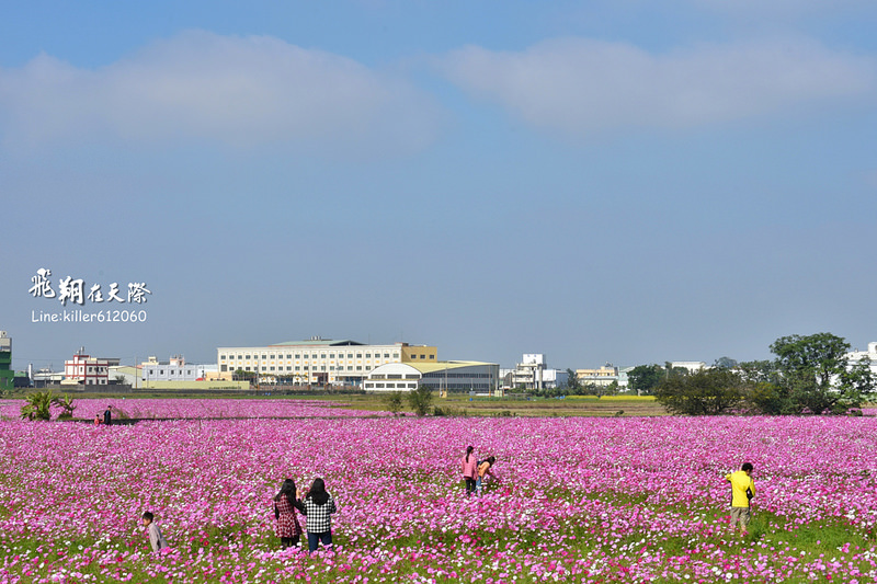 PhotoGrid_1483401544728