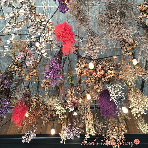 【台南小店】隱身在舊戲院騎樓的超美咖啡店★花樓咖啡★乾燥花裝飾配漸層色飲品IG蔓延燒不停,還沒來打卡就落伍啦~