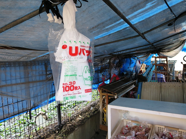 南阿蘇小火車：火車快飛~~  ...南阿蘇鉄道風情.. 田野連川谷‧冷風伴晨曦