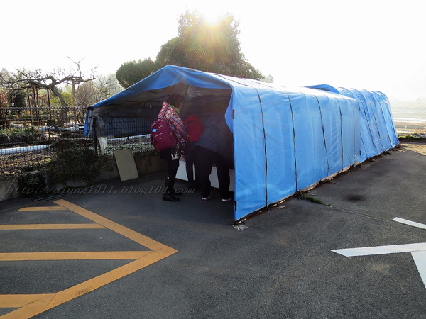 南阿蘇小火車：火車快飛~~  ...南阿蘇鉄道風情.. 田野連川谷‧冷風伴晨曦