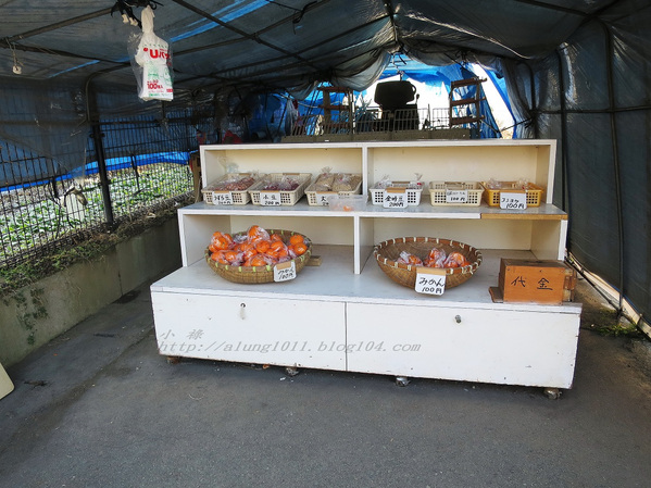 南阿蘇小火車：火車快飛~~  ...南阿蘇鉄道風情.. 田野連川谷‧冷風伴晨曦