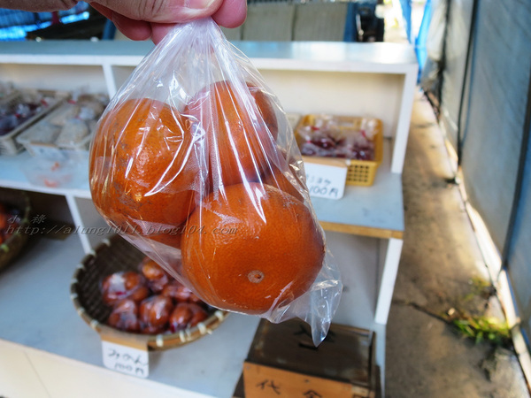 南阿蘇小火車：火車快飛~~  ...南阿蘇鉄道風情.. 田野連川谷‧冷風伴晨曦