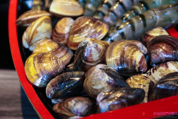 湯正黑潮涮涮:【新莊火鍋】☼湯正黑潮涮涮☼安格斯牛小排(prime)18盎司、海鮮大而新鮮,食材講究,海陸全包一次滿足!♥♥