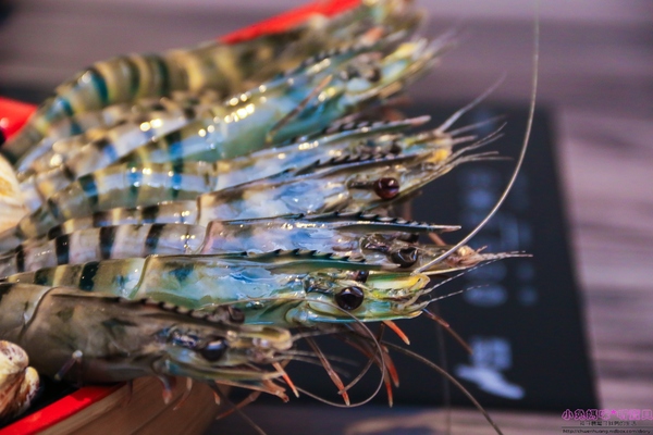 湯正黑潮涮涮:【新莊火鍋】☼湯正黑潮涮涮☼安格斯牛小排(prime)18盎司、海鮮大而新鮮,食材講究,海陸全包一次滿足!♥♥