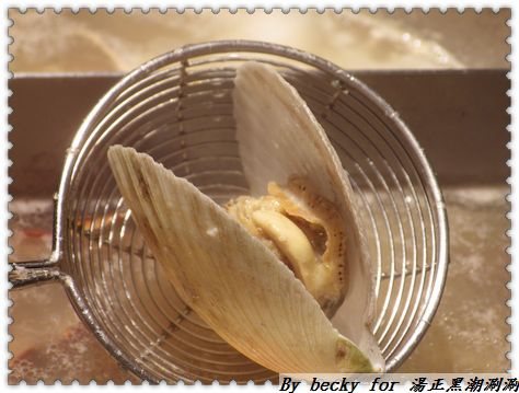 <新莊美食>平價及頂級享受，產地新鮮直送海鮮/打卡送食材～湯正黑潮涮涮