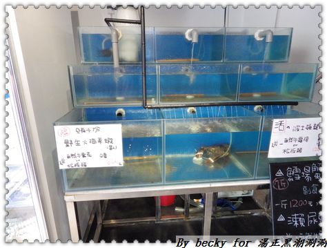 <新莊美食>平價及頂級享受，產地新鮮直送海鮮/打卡送食材～湯正黑潮涮涮