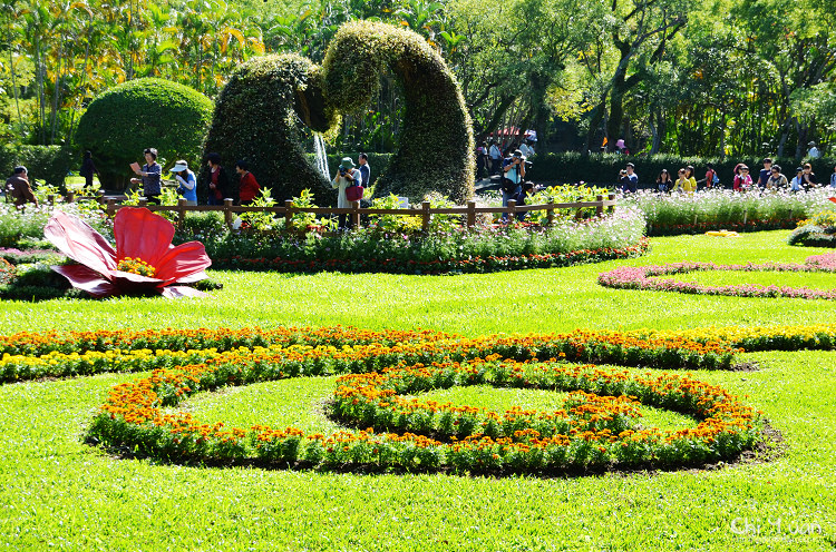 2014士林官邸菊展23.jpg 2014士林官邸菊展23.jpg