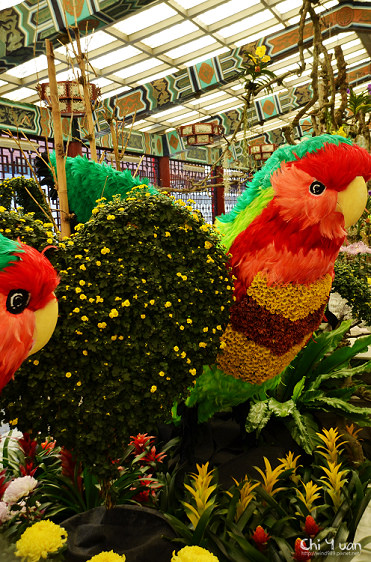 2014士林官邸菊展22.jpg 2014士林官邸菊展22.jpg