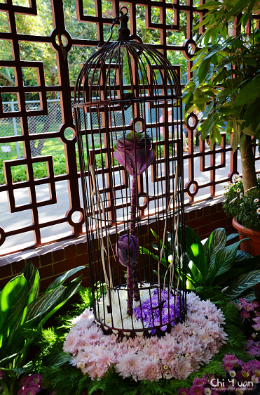 2014士林官邸菊展21.jpg 2014士林官邸菊展21.jpg