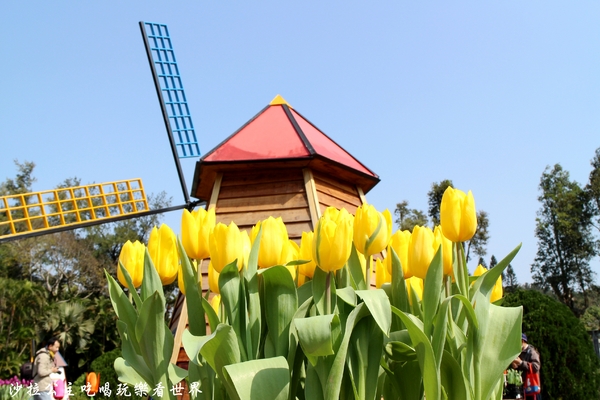 士林官邸：2018士林官邸【鬱金香展】遇見荷蘭/士林景點/捷運士林站