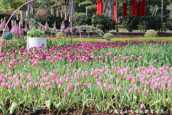 士林官邸：2018士林官邸【鬱金香展】遇見荷蘭/士林景點/捷運士林站