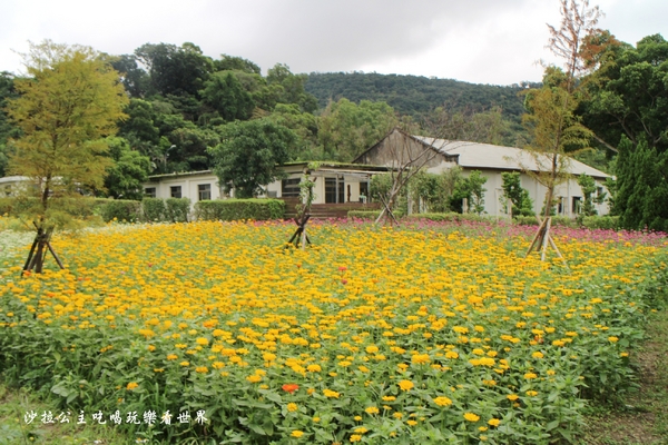 士林官邸:士林景點/2017菊花展『眾星雲菊』士林官邸/捷運士林站/文末士林捷運站周邊美食