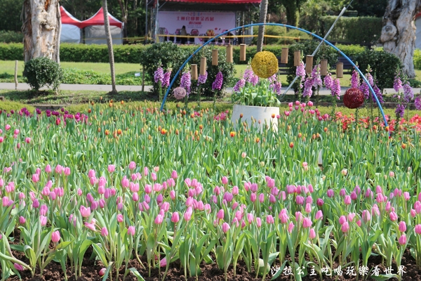士林官邸：2018士林官邸【鬱金香展】遇見荷蘭/士林景點/捷運士林站