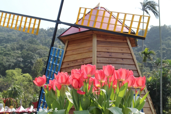 士林官邸：2018士林官邸【鬱金香展】遇見荷蘭/士林景點/捷運士林站