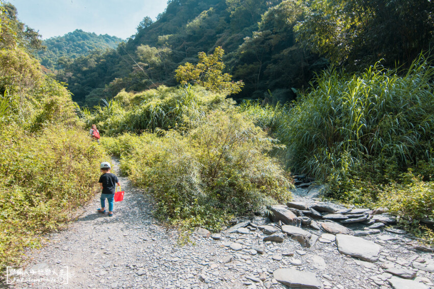 彩蝶瀑布｜埔里玩水秘境，集結了溯溪、戲水、攀岩、爬山、賞景...等戶外體能活動，給喜歡冒險挑戰的你~