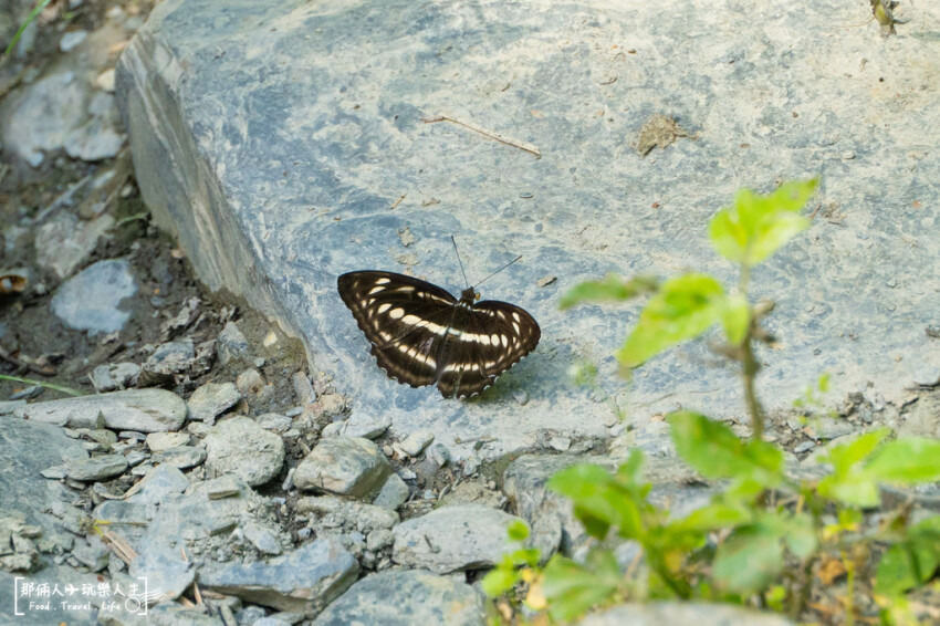 彩蝶瀑布｜埔里玩水秘境，集結了溯溪、戲水、攀岩、爬山、賞景...等戶外體能活動，給喜歡冒險挑戰的你~