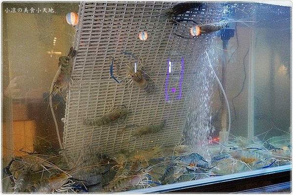 澤多海鮮燒烤板屋：台中西區』澤多海鮮燒烤板屋║聚餐宵夜小酌推薦，看球賽、射飛鏢另類夜店風，XO炒波士頓龍蝦只要399元!