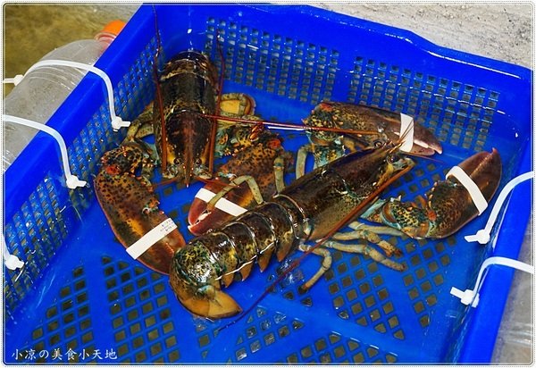 澤多海鮮燒烤板屋：台中西區』澤多海鮮燒烤板屋║聚餐宵夜小酌推薦，看球賽、射飛鏢另類夜店風，XO炒波士頓龍蝦只要399元!