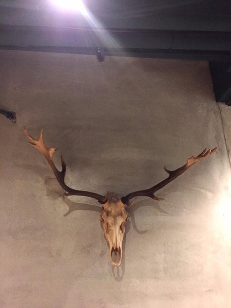 路徒行旅Roaders Hotel：【台北西門町】路徒行旅Roaders Hotel評價超高且價格低，徒步至捷運站不用五分鐘！(2016年4月開幕)