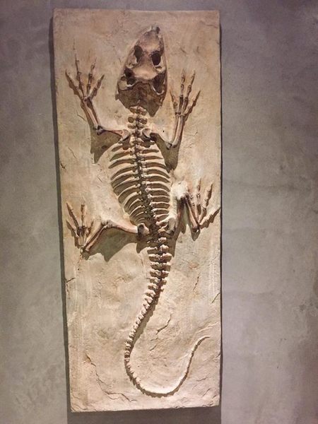 路徒行旅Roaders Hotel：【台北西門町】路徒行旅Roaders Hotel評價超高且價格低，徒步至捷運站不用五分鐘！(2016年4月開幕)