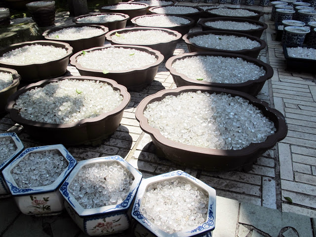 【新竹關西廢墟童話世界】迪士尼睡美人城堡夢幻景點~佛陀世界