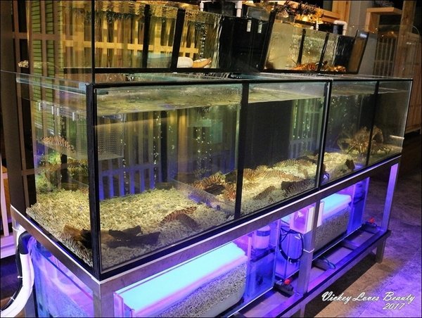 IMG_2446.JPG IMG_2446.JPG