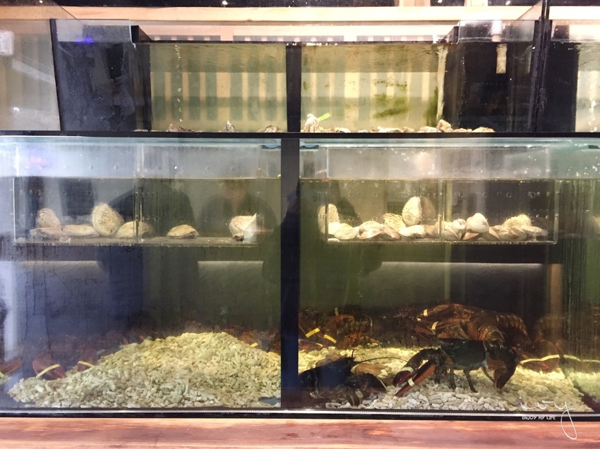 台中燒肉推薦，締藏和牛燒肉