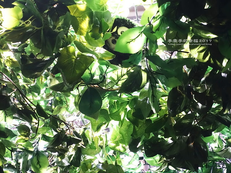 吉卜力台中170106026