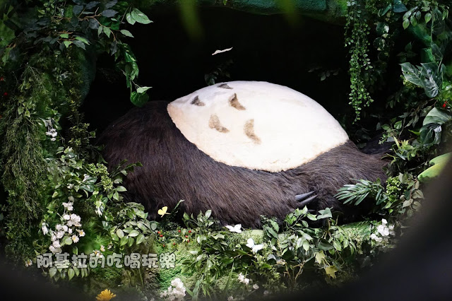 台中市|展覽|吉卜力的動畫世界特展