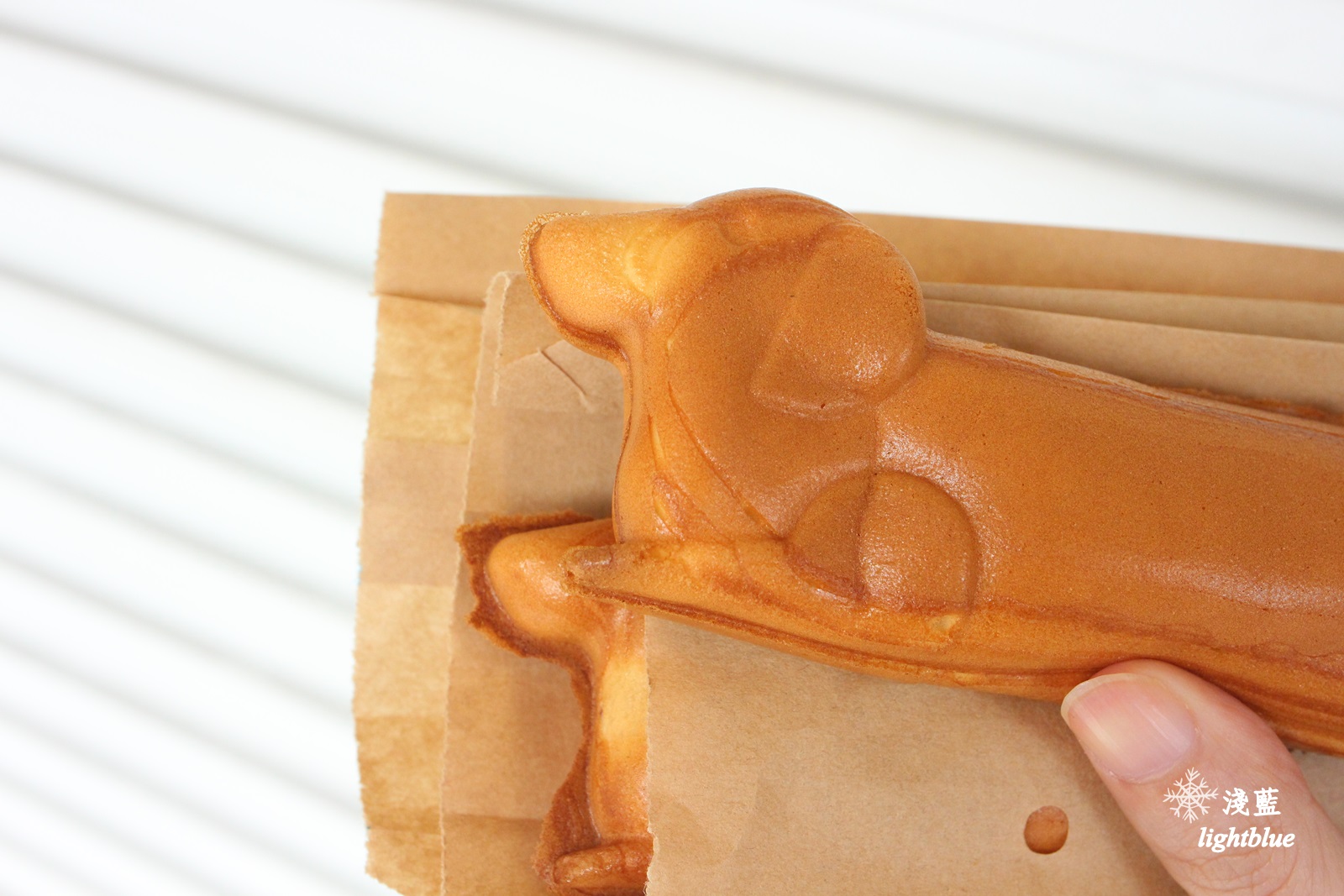 嘉義美食：淺藍 × 犬行燒～可愛又好吃的散步甜食