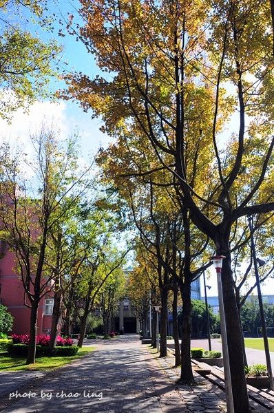 崇林國中-15.JPG 崇林國中-15.JPG