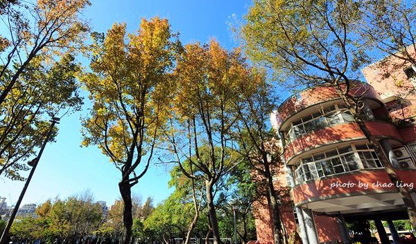 崇林國中-9.JPG 崇林國中-9.JPG