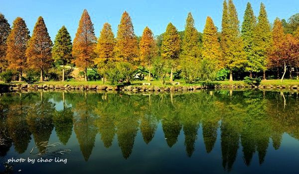 新竹北埔六塘-1.JPG 新竹北埔六塘-1.JPG