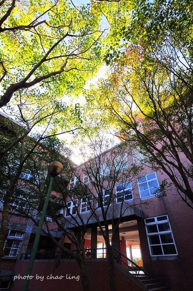 崇林國中-6.JPG 崇林國中-6.JPG